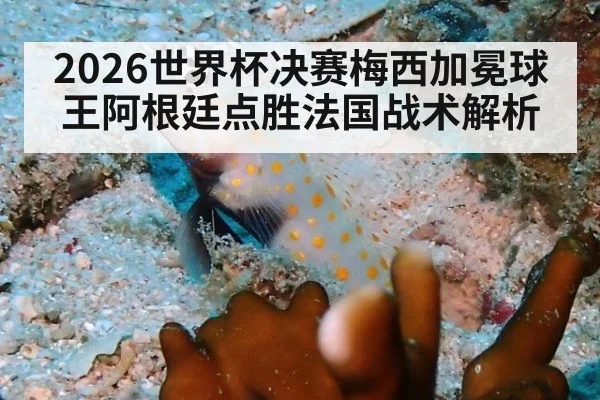 2026世界杯决赛梅西加冕球王阿根廷点胜法国战术解析